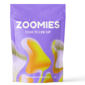 Texas Yellow Cap | Magic Mushrooms Calgary Canada
