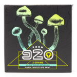 Room 920 - Mushroom Chocolate Bar - Dark Chocolate Mint - 3 grams | Magic Mushrooms Calgary Canada