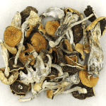 Full Moon Party | Magic Mushrooms Calgary Canada