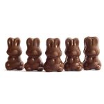 Alice - Mushroom Milk Chocolate - 2.5g | Magic Mushrooms Calgary Canada