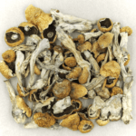 Orissa | Magic Mushrooms Calgary Canada