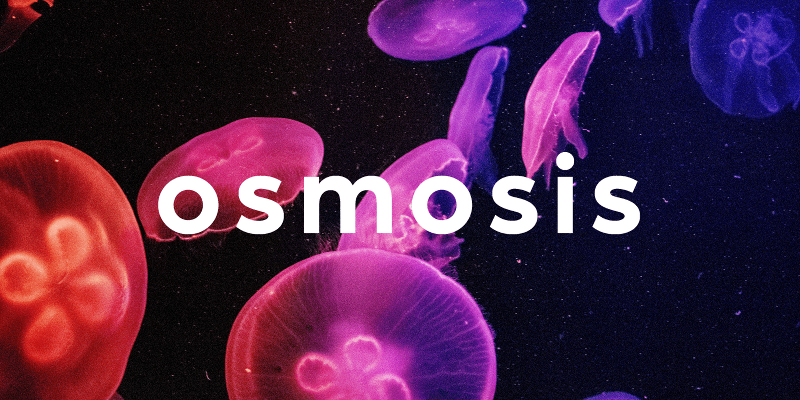 Zoomies osmosis banner | Magic Mushrooms Calgary Canada