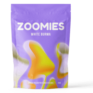 White Burma | Magic Mushrooms Calgary Canada