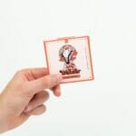 Wonder – Psilocybin Chocolate Bar – Blood Orange | Magic Mushrooms Calgary Canada