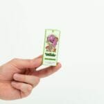 Wonder – Psilocybin Chocolate Bar – Dark Chocolate | Magic Mushrooms Calgary Canada