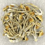 Hautla | Magic Mushrooms Calgary Canada