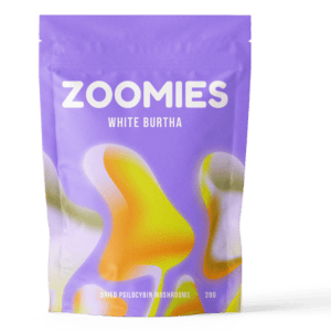 White Burtha | Magic Mushrooms Calgary Canada