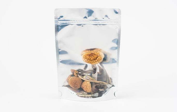 Where to Buy PE Mushrooms? Penis Envy Mushrooms