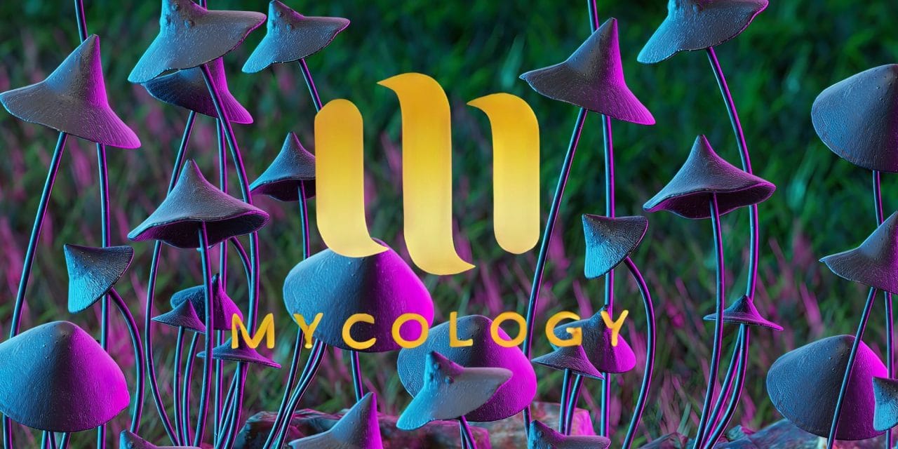 Zoomies Summer 2023 Banner - Mycology | Magic Mushrooms Calgary Canada