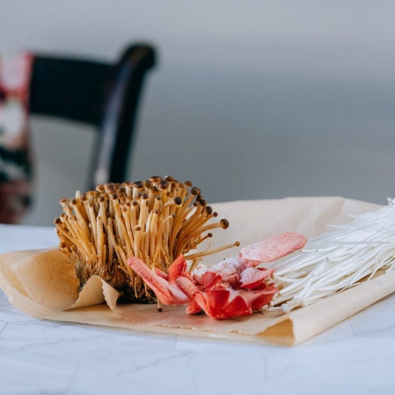 Buy Shrooms Online Canada (1) | Magic Mushrooms Calgary Canada