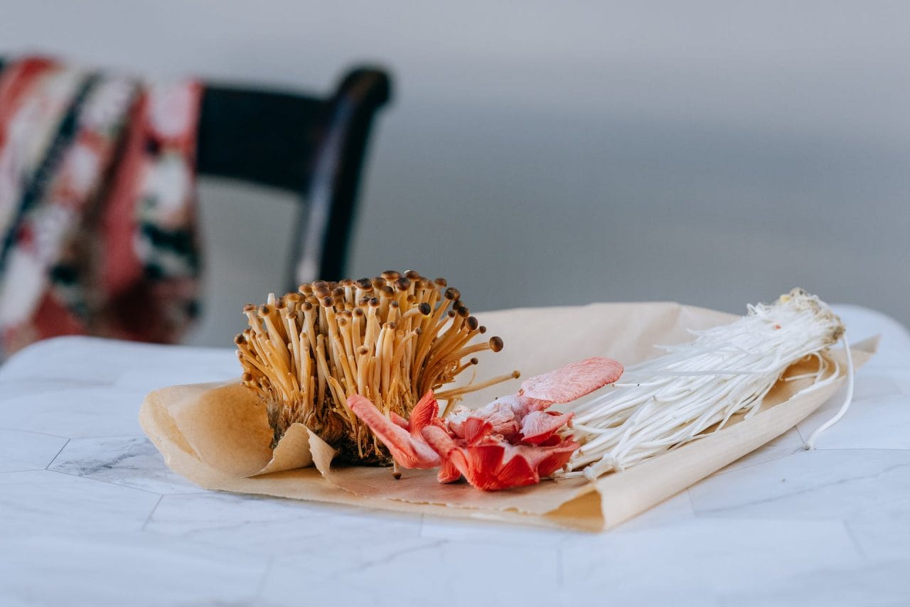 Purchase Mushrooms Online in Canada for Festive Holiday Recipes