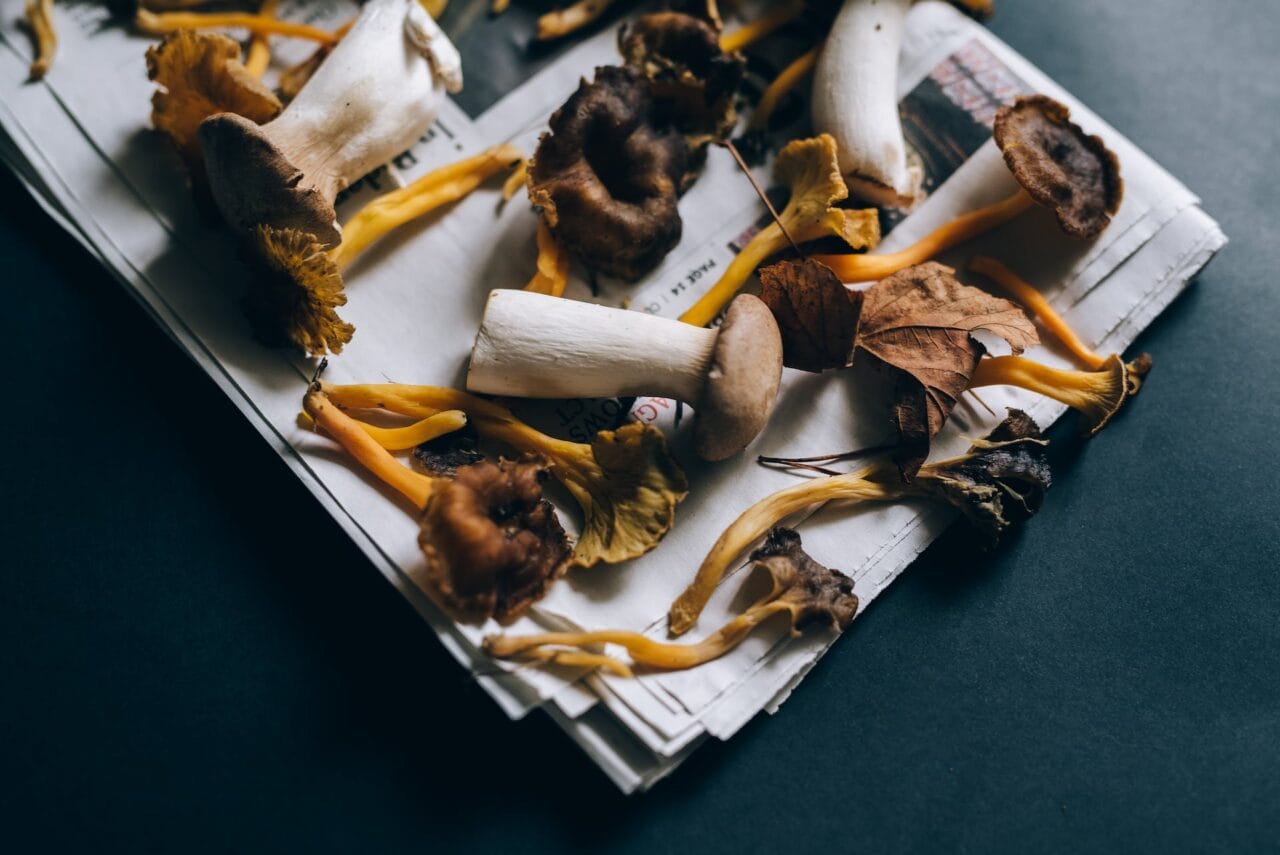Is Chocolate a Good Pairing for Mushrooms?